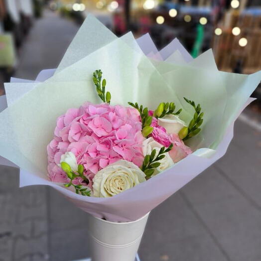 Hortensia Amor S