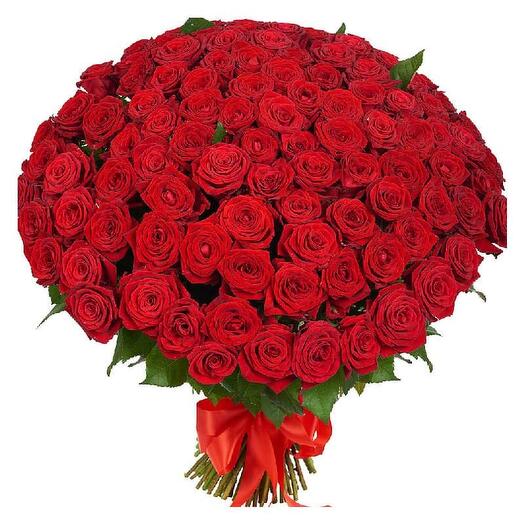 101 red rose