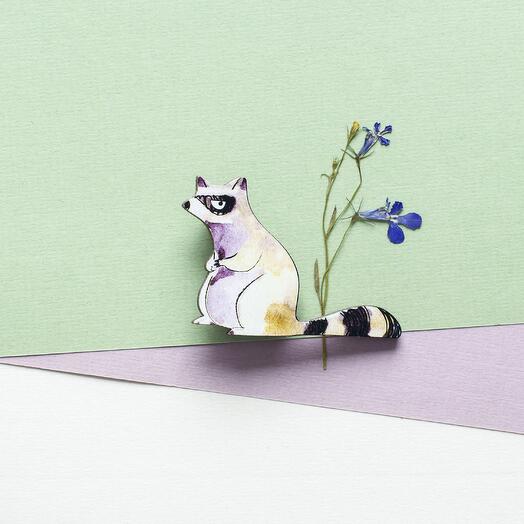 Funny racoon