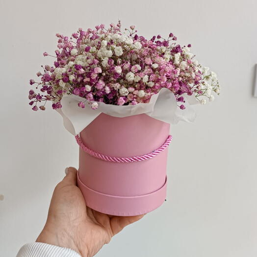 Flowerbox z gipsówką kolorową