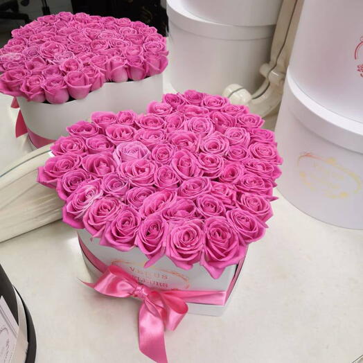 Pink rose love