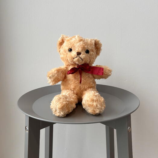 Teddy bear