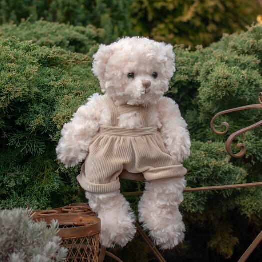 My First Teddy Adam by Bukowski