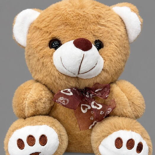 Teddy Bear Soft Toy 2