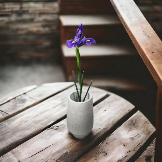 Blue Iris