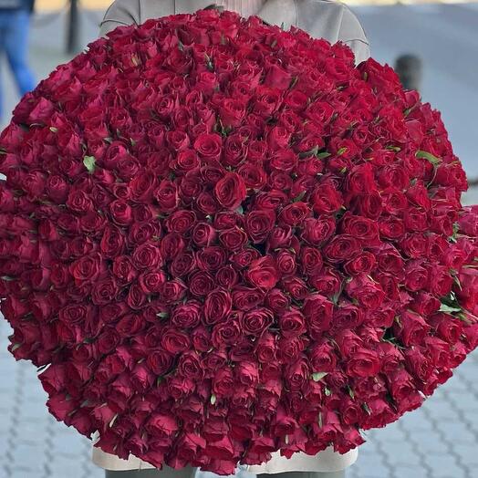301 Red Roses