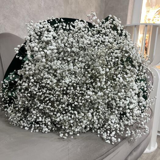Gypsophila monobouquet