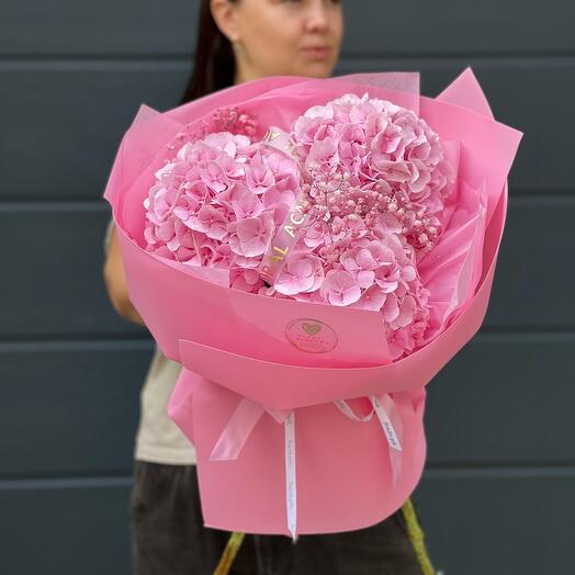 Hydrangea pink 3