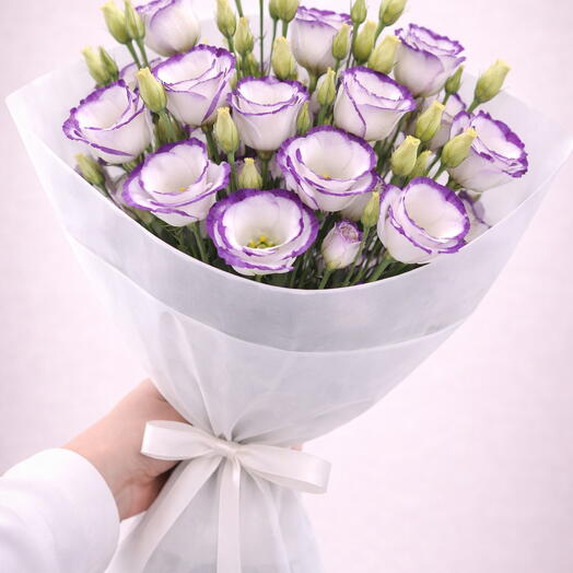 Mono Eustoma lilac female - 9