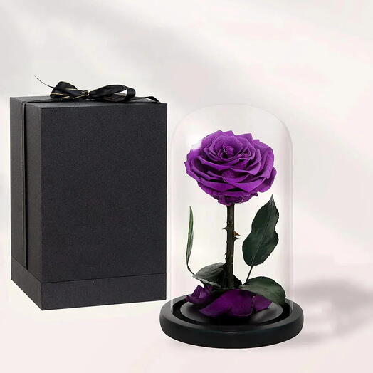 Eternal rose in glass dome lilac 💜
