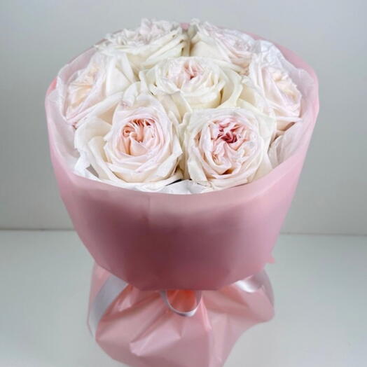 Rose Harmony