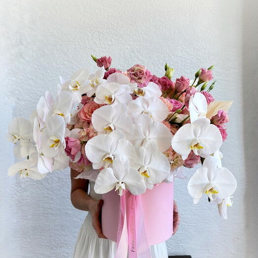 Orchid garden