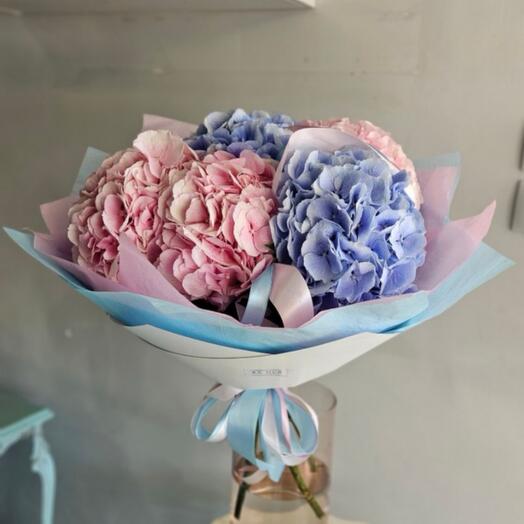 Hortensia mix