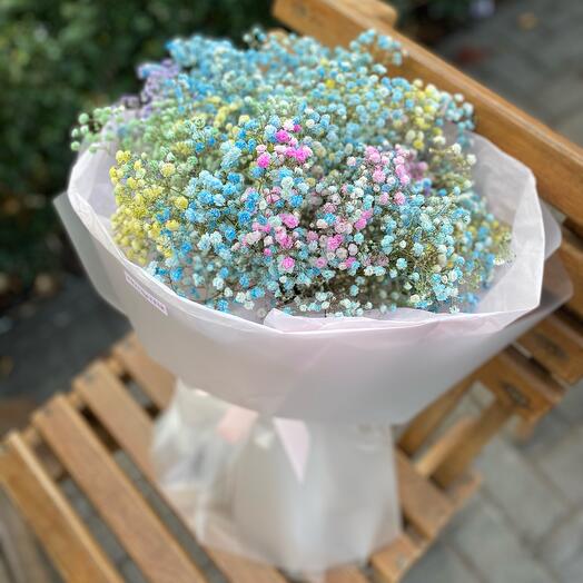 Gypshophila