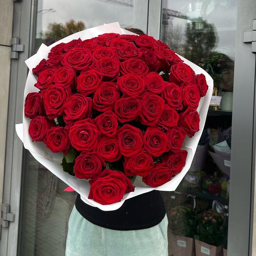 Red rose