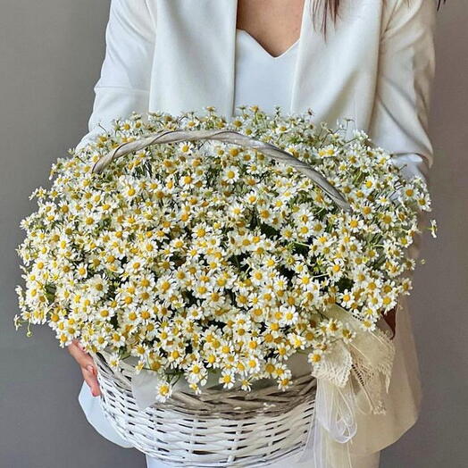 Chamomile Basket