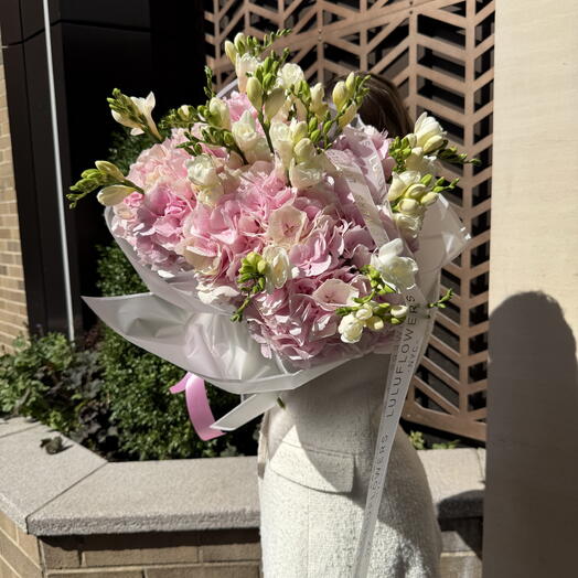 Freesia