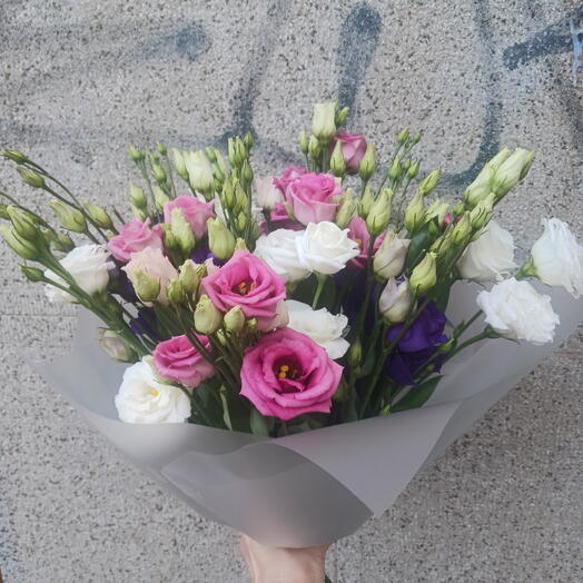 Eustoma mix
