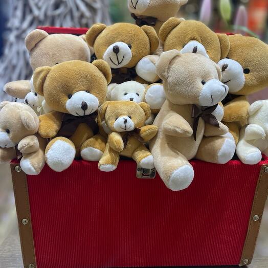 Teddy bear box