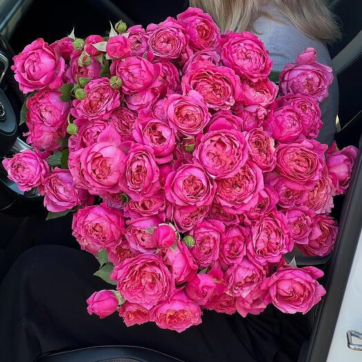 Juliette Cerise XXl