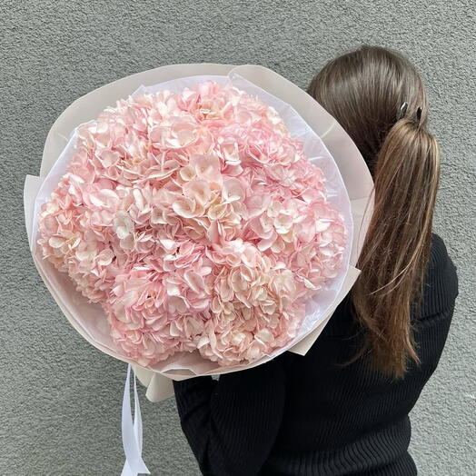 Pink Hydrangeas