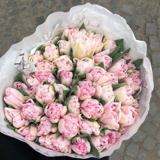 Tulipss