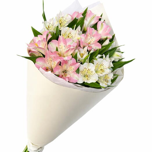 Alstroemeria 5