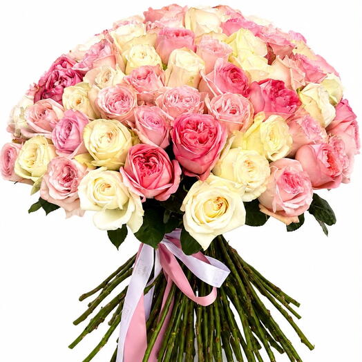 XARA ROSES