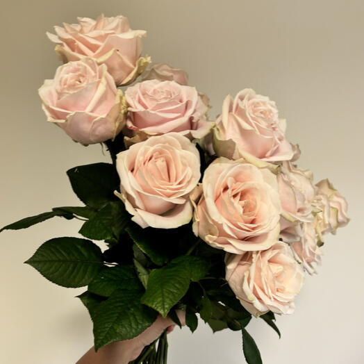 ROSES 9 LONG STEM