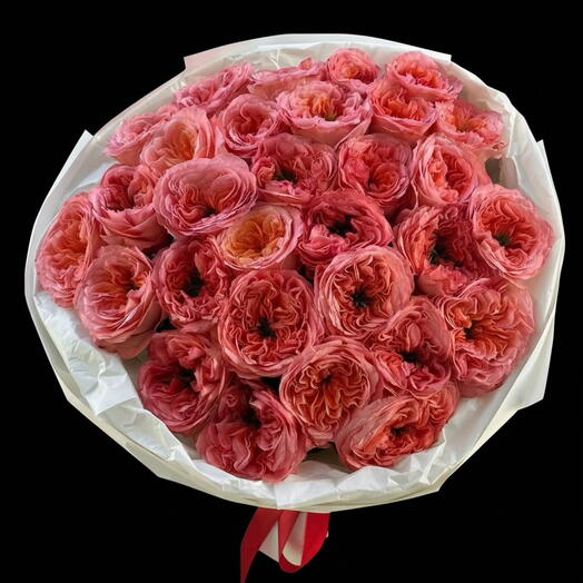 Coral expression