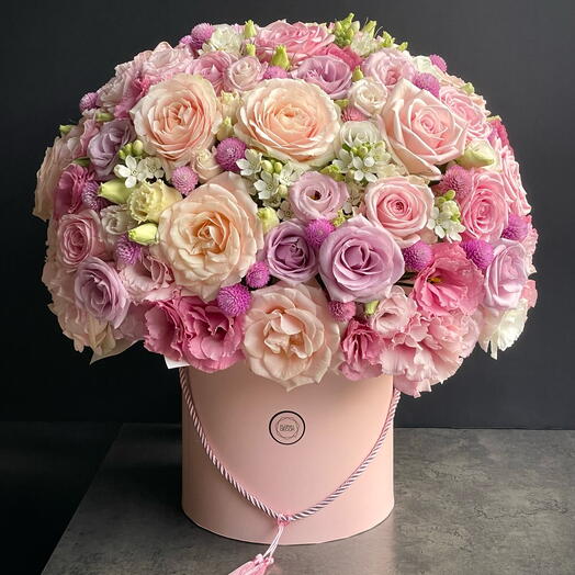 Pink Marshmallow L