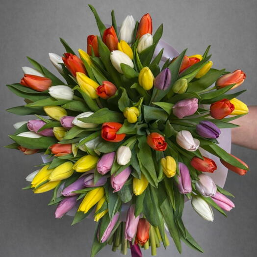 Tulips mix (51pis)