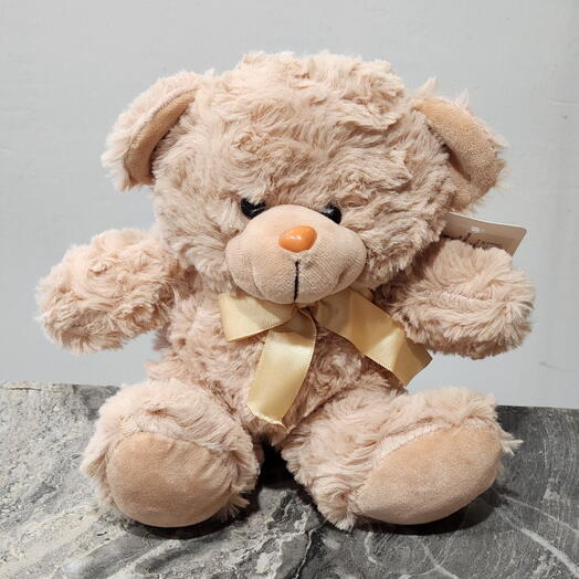 Teddy bear 🧸