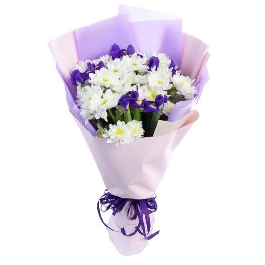 Chrysanthemums and Irises