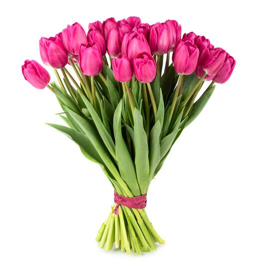 Mono bouquet of tulips 15 pcs