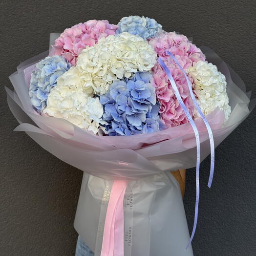 Bloom in love