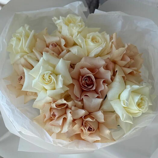 12 Cashmere Petals - French Roses mix