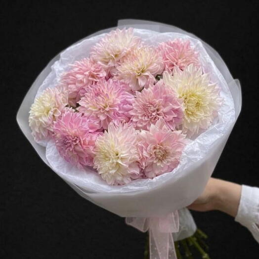 🌸 Premium Pastel Pink Dahlias Mono Bouquet